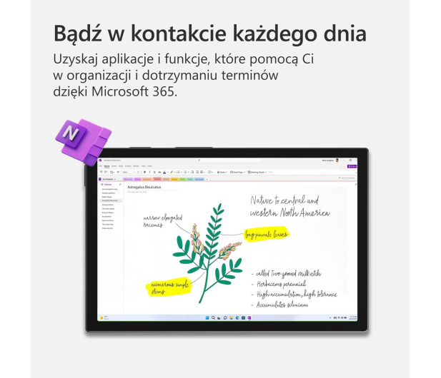 Microsoft 365 Family - 1451686 - zdjęcie 5